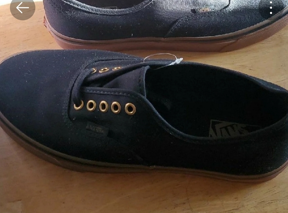 Mens VANS Authentic Canvas Skate Shoes